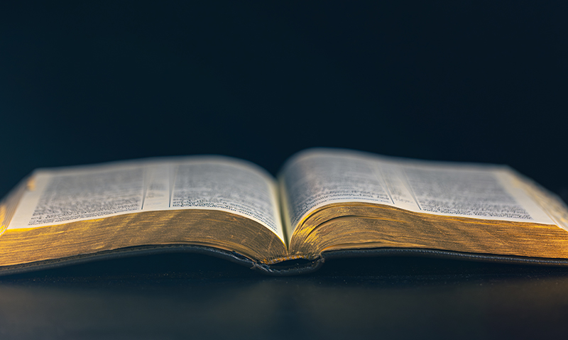 How To Read the Bible